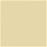 Paint and Paper Library Suede I Paint